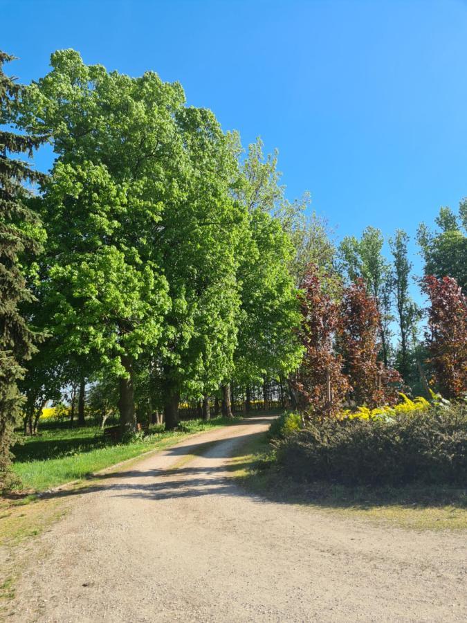 Dwor Komorowo Exteriér fotografie